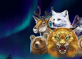 Wild North Radiant Skies GO Collect slot by Play'n GO