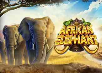 African Elephant slot by Pragmatic Play
